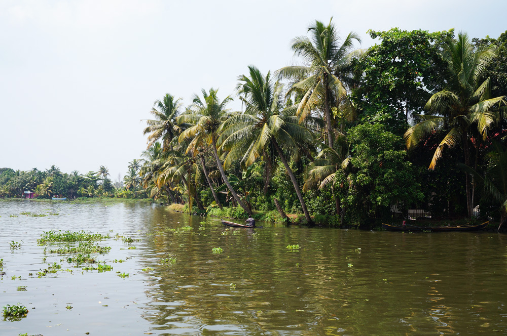 Backwaters in Kerala Hausboot Tour Hausboottour Indien Südindien