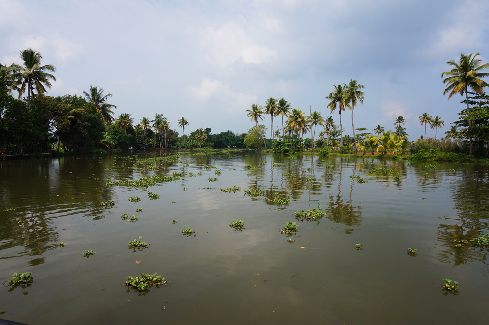 Backwaters in Kerala Hausboot Tour Hausboottour Indien Südindien 