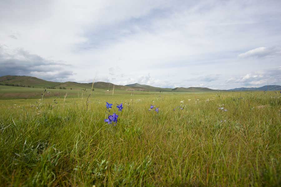 Mongolische Steppe, gorkhi-terelj national park der camp