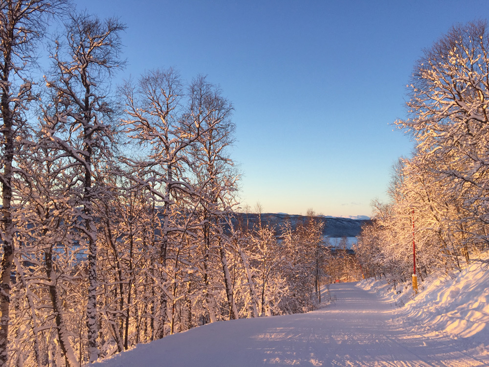 Skiurlaub in Schweden mit Kind Skigebiet Hemavan Tärnaby Pisten Übernachten Kosten Langlauf. Sonne, Schnee, Kälte im Dezember. Nordlichter und andere Aktivitäten in Hemavan im Winter. Anreise nach Hemavan mit NextJet