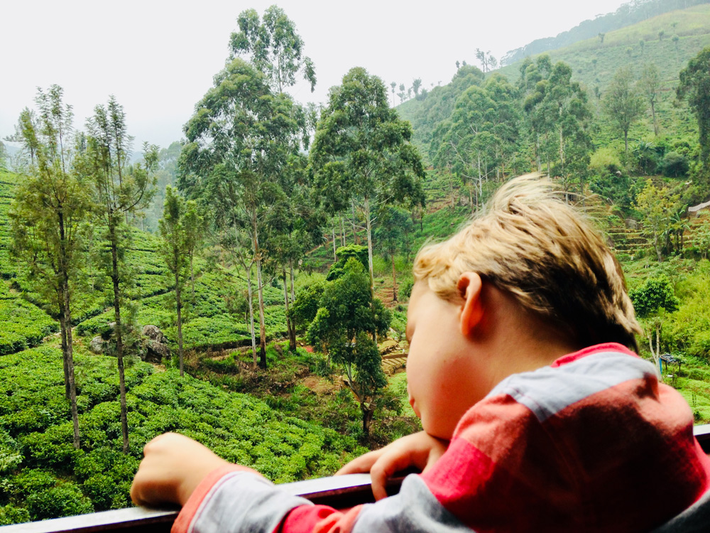 Sri Lanka Highlights, Urlaub Sri Lanka mit Kindern - Tipps von Reisebloggern