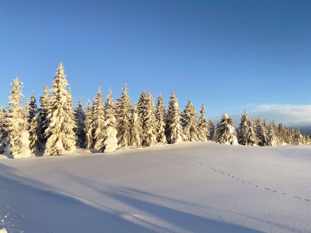 Langlaufen Norwegen Winter; wann beste Zeit; Langlaufgebiete; was anziehen; richtige Skiausrüstung, Langlaufen mit Kindern; wo übernachten; Norwegen Urlaub Langlauf