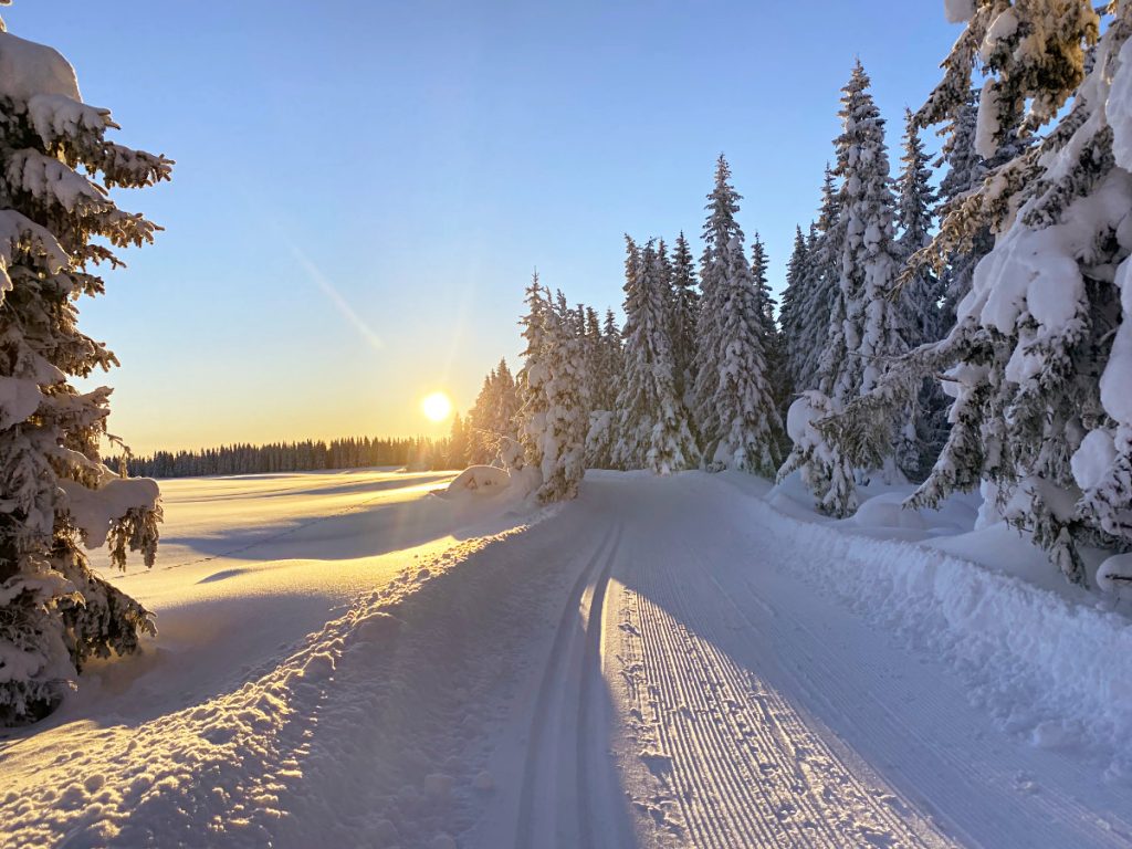 Langlaufen Norwegen Winter; wann beste Zeit; Langlaufgebiete; was anziehen; richtige Skiausrüstung, Langlaufen mit Kindern; wo übernachten; Norwegen Urlaub Langlauf
